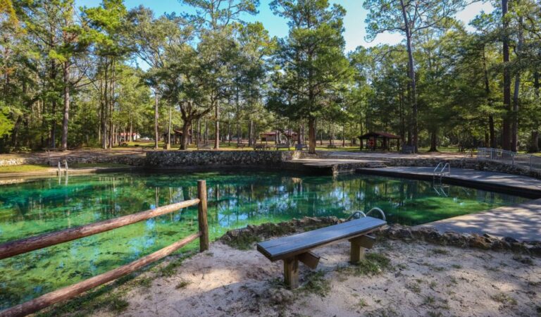 Dive into Florida’s Crystal-Clear Springs: Your Guide to Unforgettable Swimming, Snorkeling, and Tubing Adventures Dive into Florida’s Crystal-Clear Springs: Your Guide to Unforgettable Swimming, Snorkeling, and Tubing Adventures
