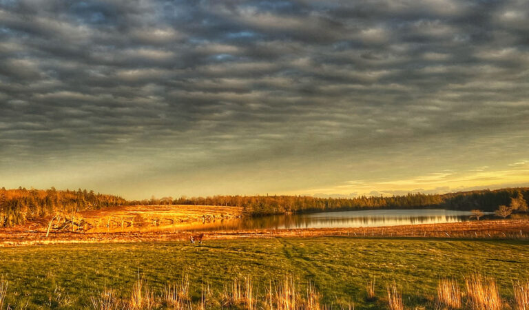 Lindsay Lake Farms, Nova Scotia – Reviews – Blog – Luxury Travel Diary
