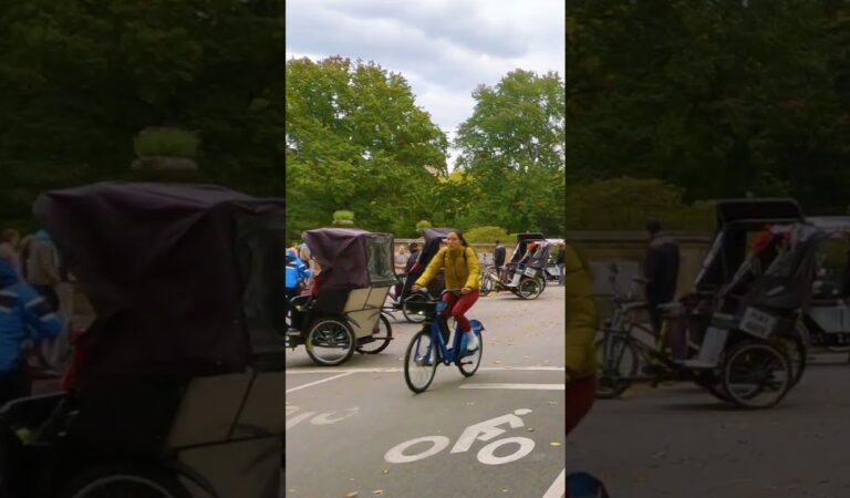Exploring Central Park on a Monocycle: A Colorful Autumn Tour #shorts Exploring Central Park on a Monocycle: A Colorful Autumn Tour #shorts